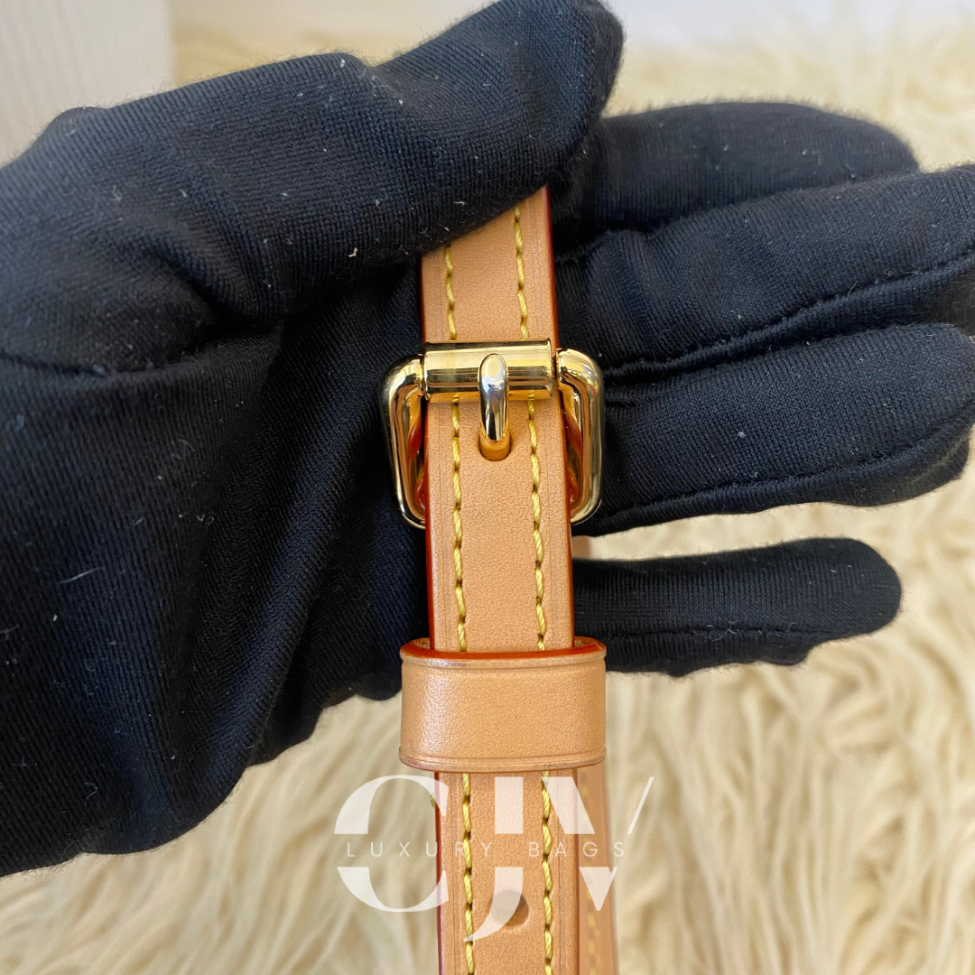 LV Valisette Monogram