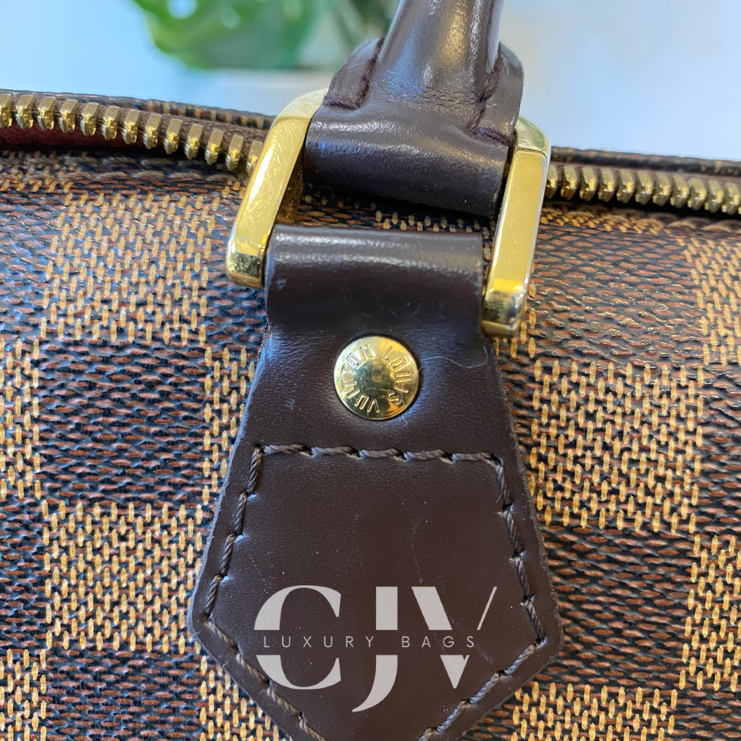 LV Alma PM Damier Ebene