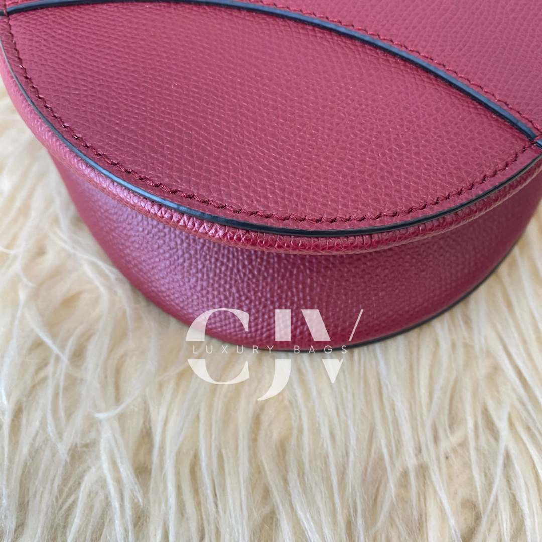 Dior Medium Saddle with Strap Red