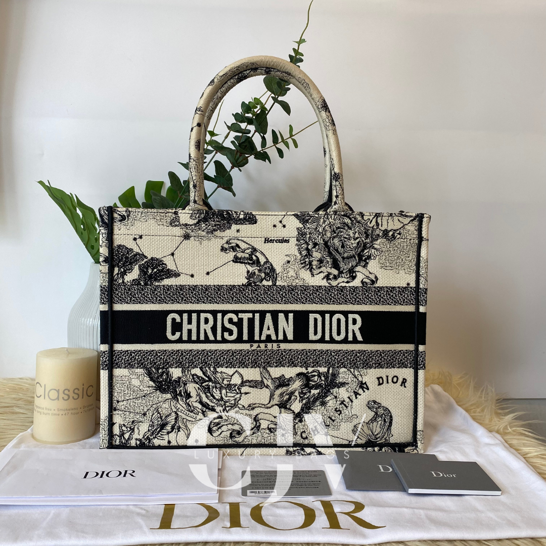 Dior Booktote Medium (Hercules)