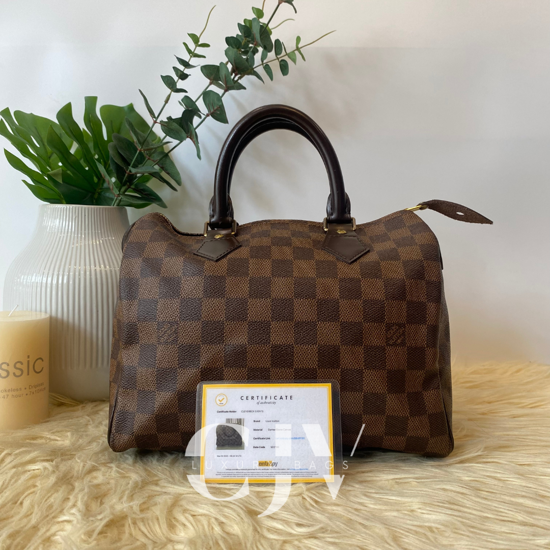 LV Speedy 25 Damier Ebene