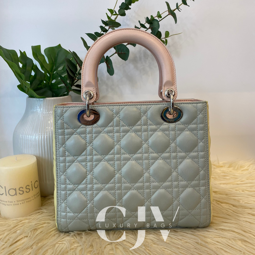 Lady Dior Medium Tricolor Gray