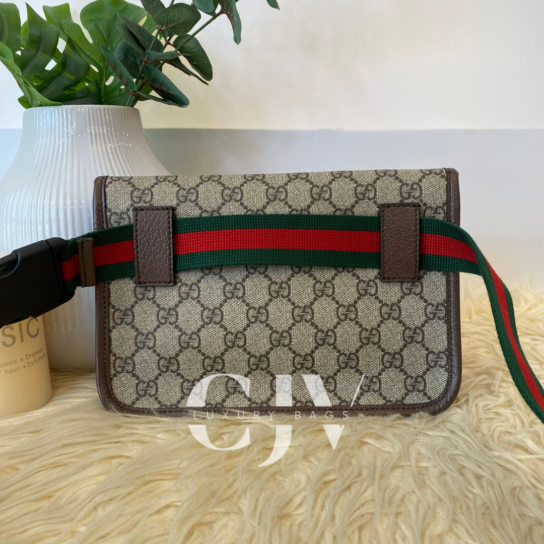 Gucci Vintage Supreme Belt Bag