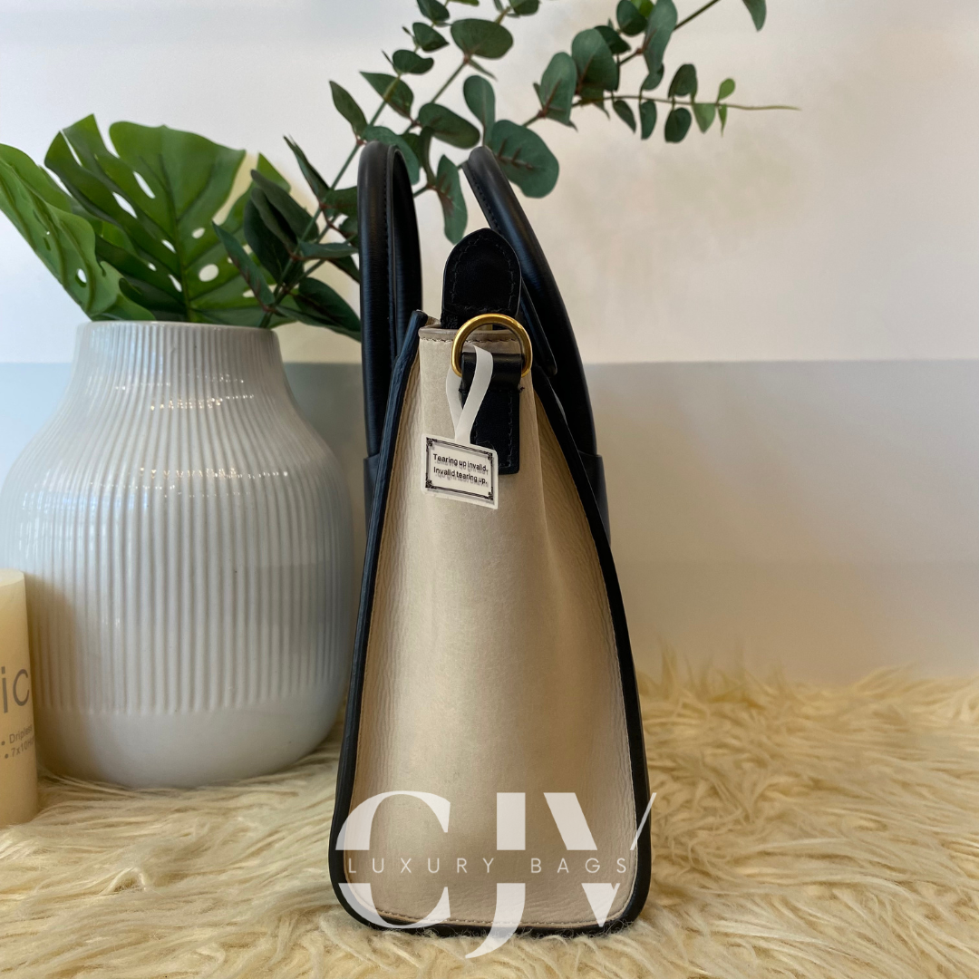 Celine Luggage Nano Tricolor